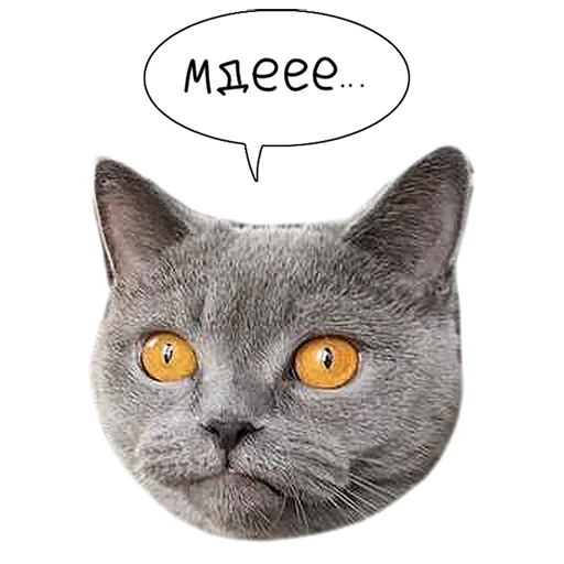 😒 Стикер «Laksheri_realkotaksheri» для Telegram