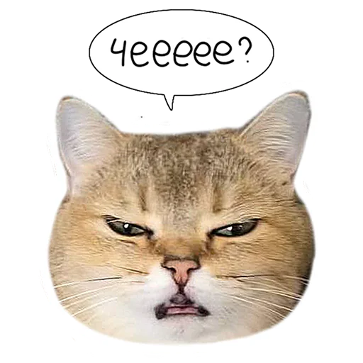 😳 Стикер «Laksheri_realkotaksheri» для Telegram