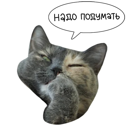 🤔 Стикер «Laksheri_realkotaksheri» для Telegram