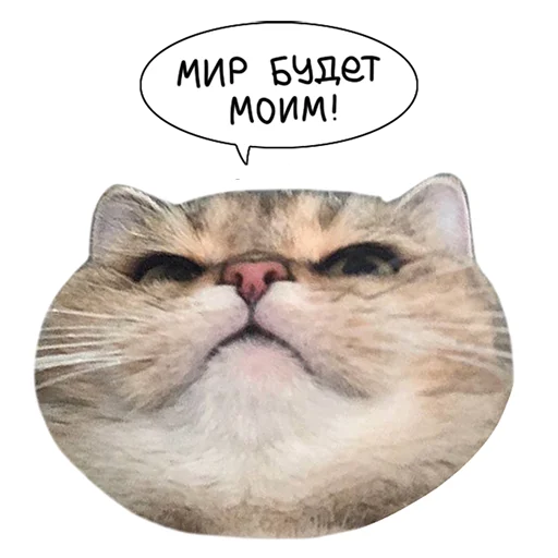🤩 Стикер «Laksheri_realkotaksheri» для Telegram