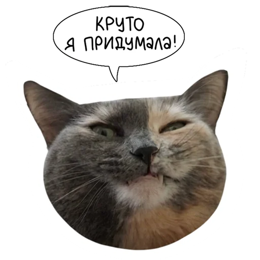 🤓 Стикер «Laksheri_realkotaksheri» для Telegram