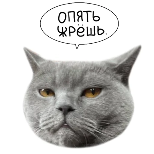 🧐 Стикер «Laksheri_realkotaksheri» для Telegram