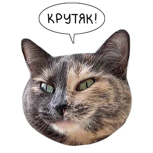 👍 Стикер «Laksheri_realkotaksheri» для Telegram