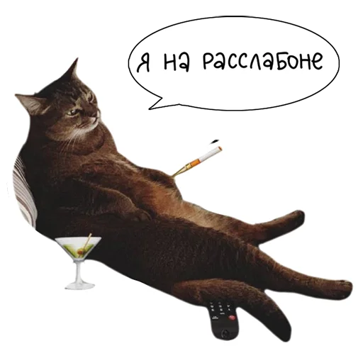 🤠 Стикер «Laksheri_realkotaksheri» для Telegram