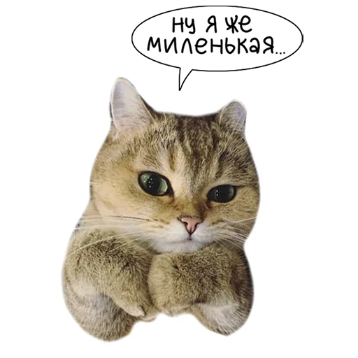 🥰 Стикер «Laksheri_realkotaksheri» для Telegram