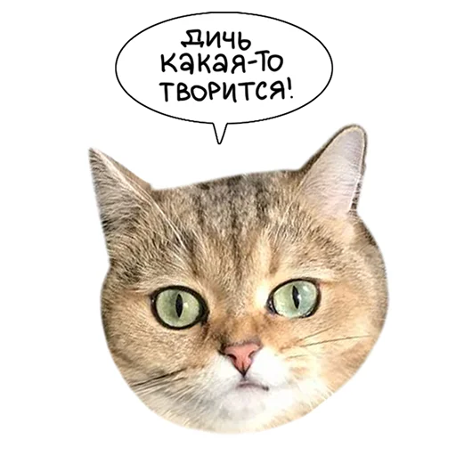 👹 Стикер «Laksheri_realkotaksheri» для Telegram