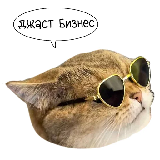 😎 Стикер «Laksheri_realkotaksheri» для Telegram