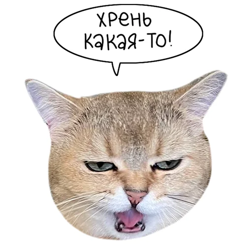 🥴 Стикер «Laksheri_realkotaksheri» для Telegram