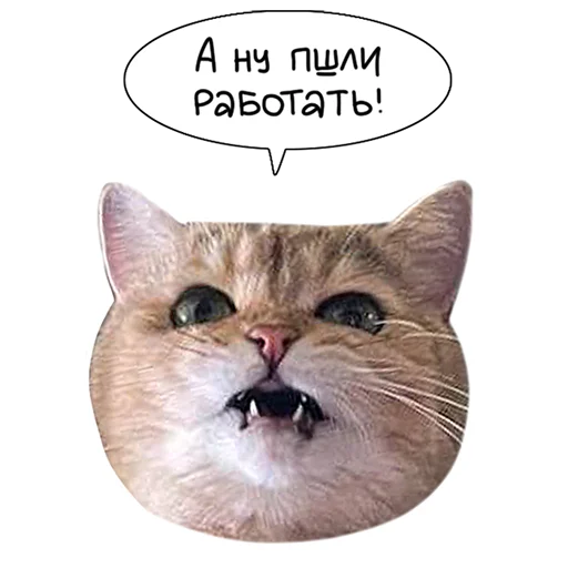 😡 Стикер «Laksheri_realkotaksheri» для Telegram