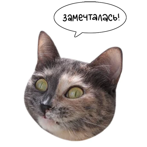 😚 Стикер «Laksheri_realkotaksheri» для Telegram