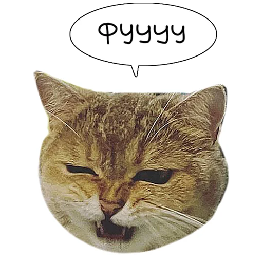🤢 Стикер «Laksheri_realkotaksheri» для Telegram