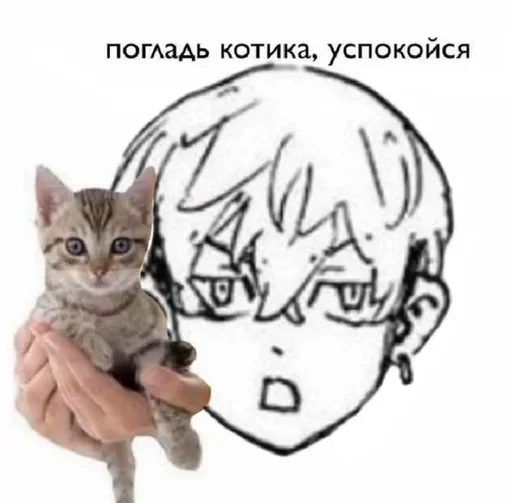 😵‍💫 Стикер «СпЕрМа БоМжА» для Telegram