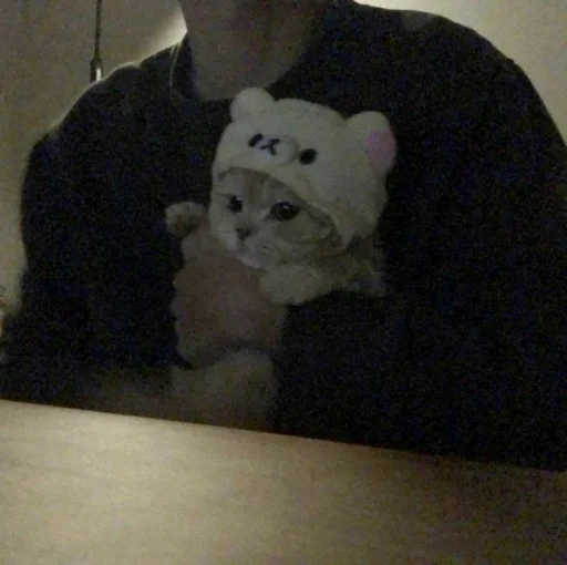 🥰 Стикер «Абьюзер» для Telegram