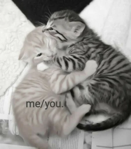 🥰 Стикер «Абьюзер» для Telegram