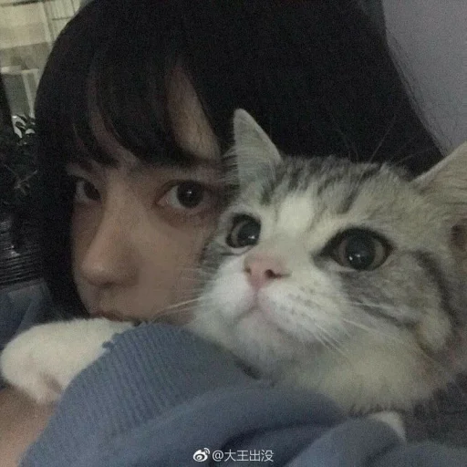 🥰 Стикер «Абьюзер» для Telegram