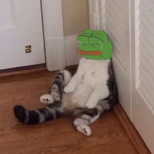 😿 Стикер «lfrankl» для Telegram
