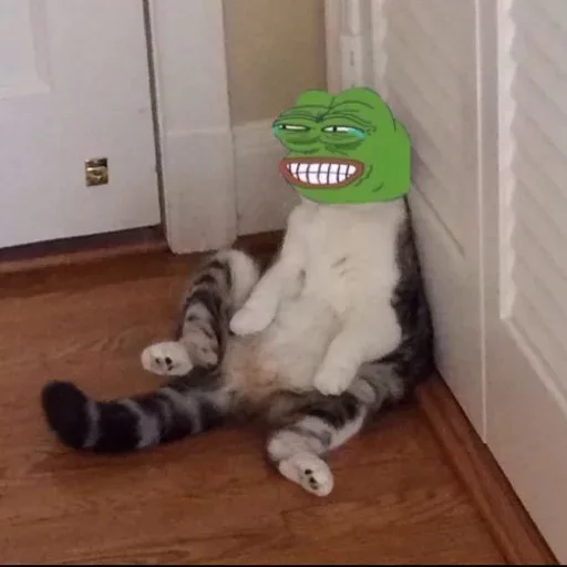 😹 Стикер «lfrankl» для Telegram