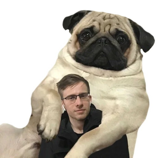 😐 Стикер «lockistickpack» для Telegram
