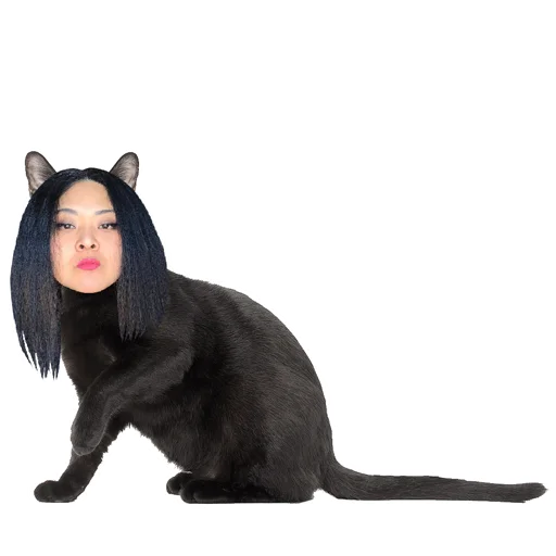 🐈 Стикер «logic_w» для Telegram