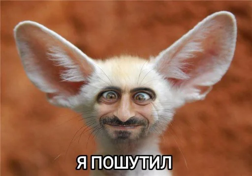 🤡 Стикер «Funny animals - Loinyre» для Telegram