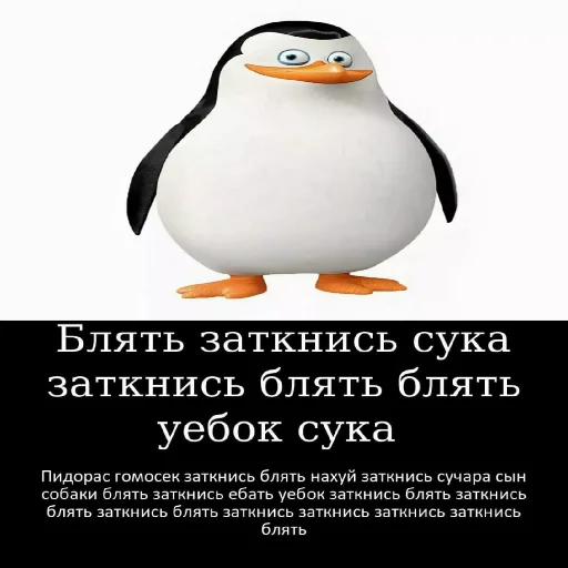 🤫 Стикер «Локальные и не очень мемы» для Telegram