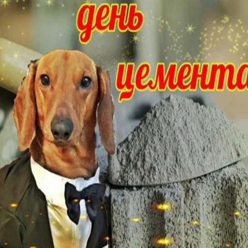 🐶 Стикер «Локальные и не очень мемы» для Telegram