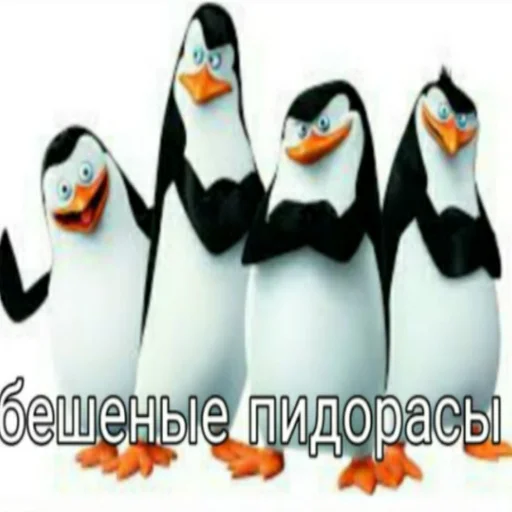 🏴 Стикер «Локальные и не очень мемы» для Telegram