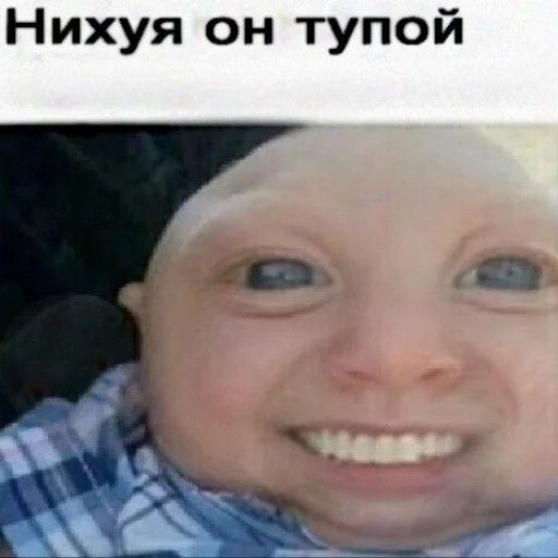 🚼 Стикер «Локальные и не очень мемы» для Telegram
