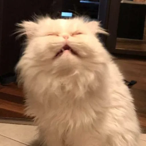 😩 Стикер «Funny Animals 3» для Telegram
