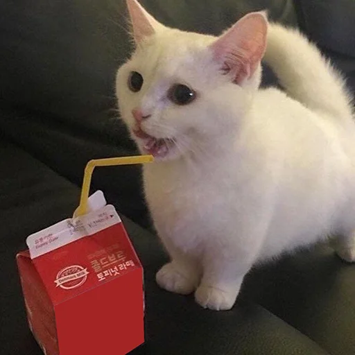 🧃 Стикер «Funny Animals 3» для Telegram