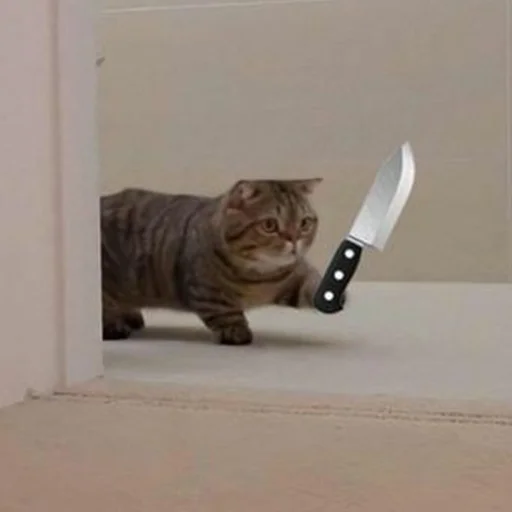 🔪 Стикер «Funny Animals 3» для Telegram