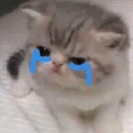 🥺 Стикер «Funny Animals 3» для Telegram