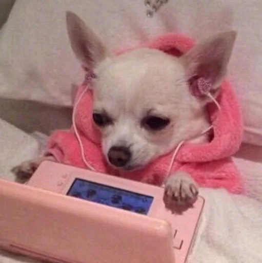 😥 Стикер «Funny Animals 3» для Telegram
