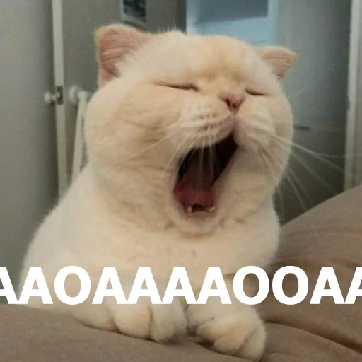 🥱 Стикер «Funny Animals 4» для Telegram