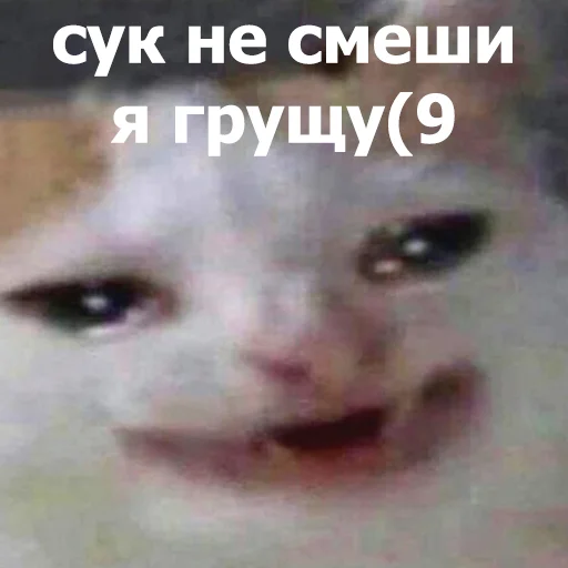 😆 Стикер «Funny Animals 4» для Telegram