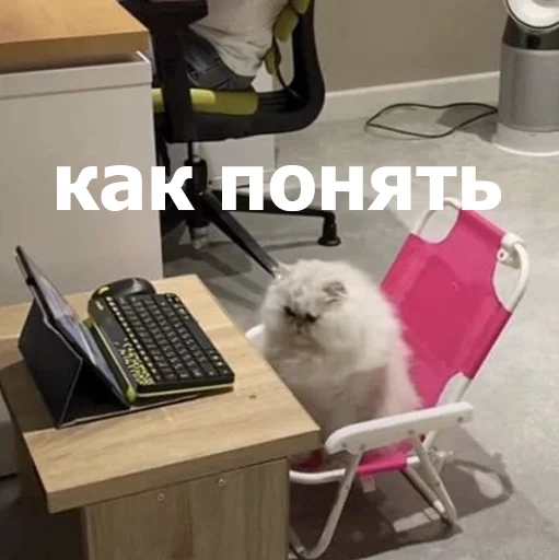 🤨 Стикер «Funny Animals 4» для Telegram