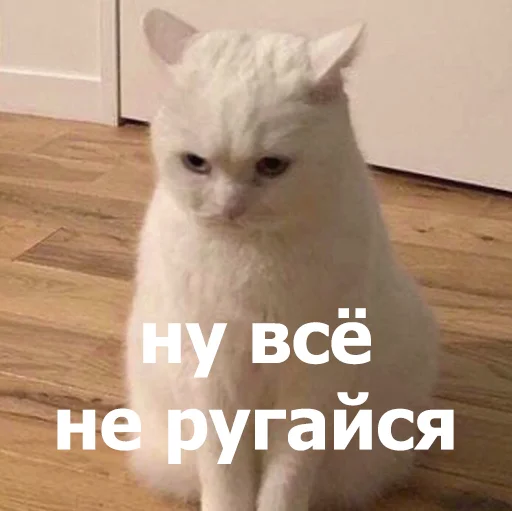 🥺 Стикер «Funny Animals 4» для Telegram
