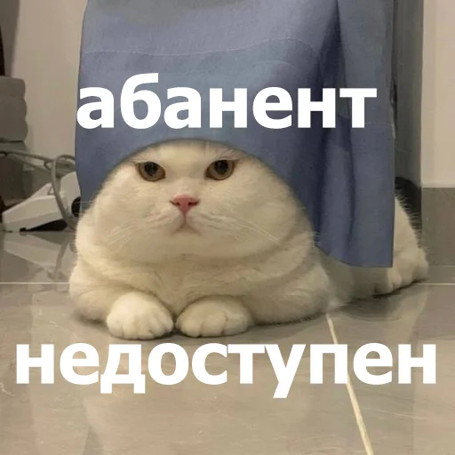 ✋ Стикер «Funny Animals 4» для Telegram