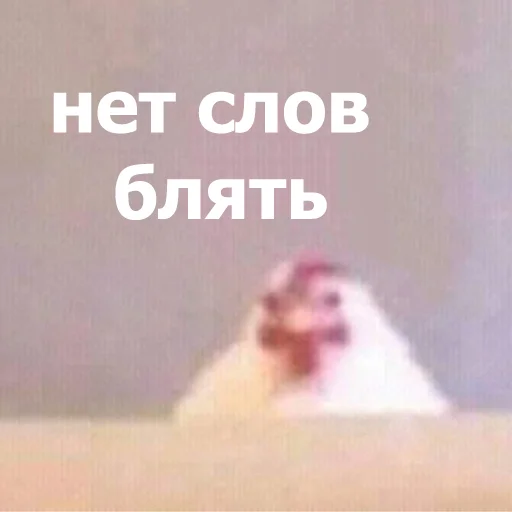 😐 Стикер «Funny Animals 4» для Telegram