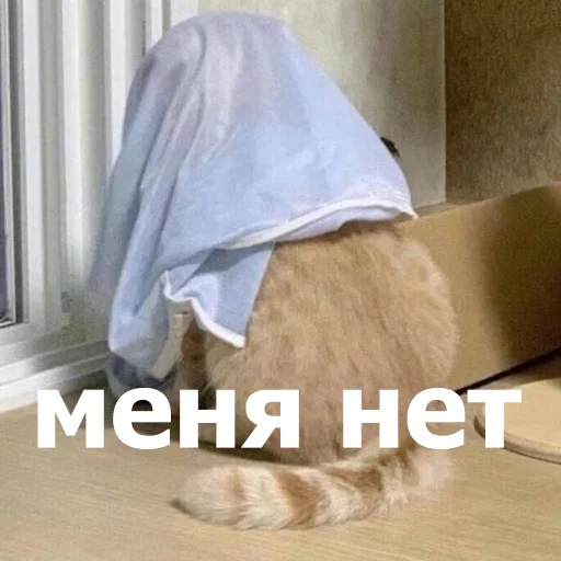 😶 Стикер «Funny Animals 4» для Telegram