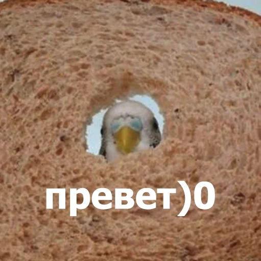 😊 Стикер «Funny Animals 4» для Telegram