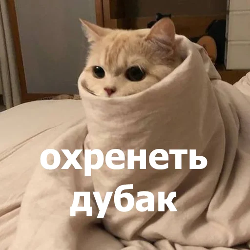 🥶 Стикер «Funny Animals 4» для Telegram