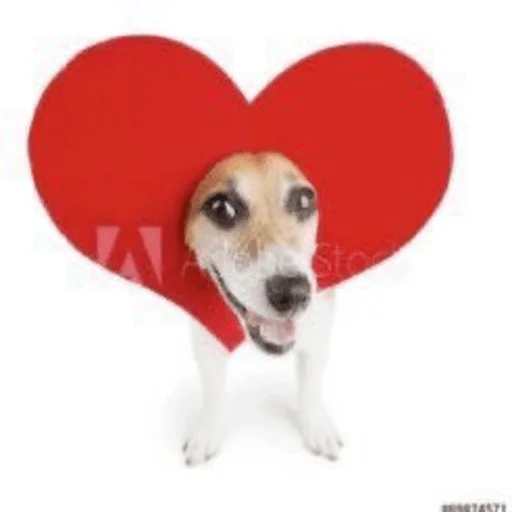 💝 Стикер «собаченя» для Telegram