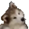 Стикер 61 Lolzteam