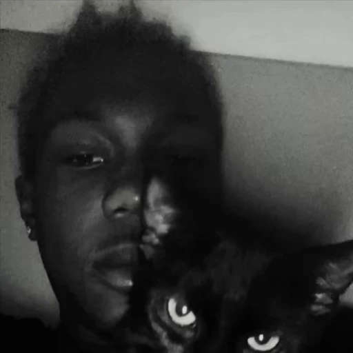 🐈 Стикер «Ken and Lon» для Telegram