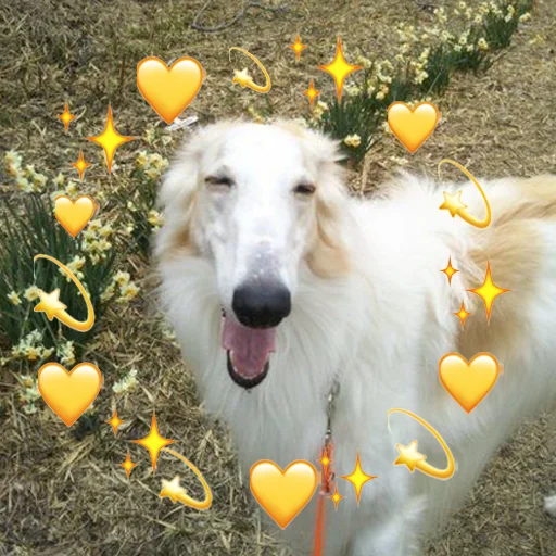 ❤️ Стикер «longnose style» для Telegram
