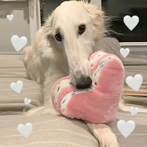 ❤️ Стикер «longnose style» для Telegram