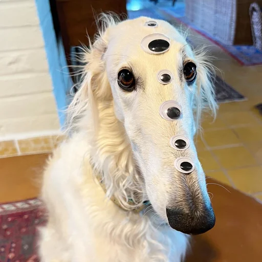 👁 Стикер «longnose style» для Telegram
