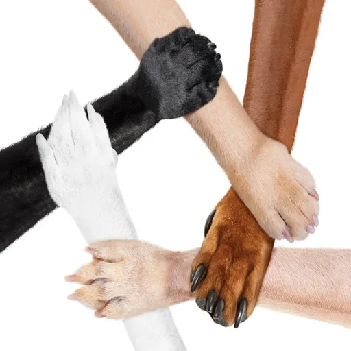 🤝 Стикер «longnose style» для Telegram