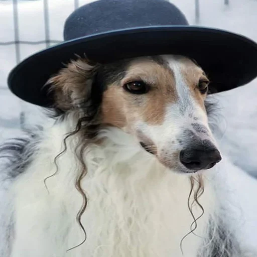 💸 Стикер «longnose style» для Telegram